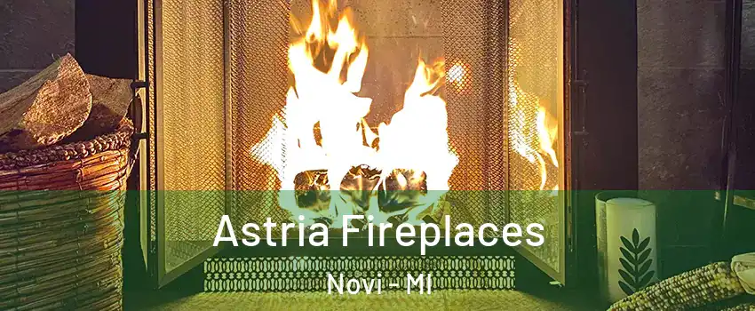  Astria Fireplaces Novi - MI