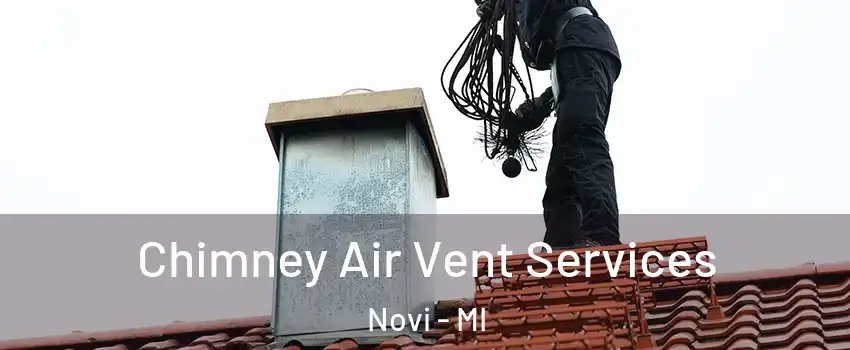  Chimney Air Vent Services Novi - MI