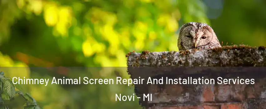  Chimney Animal Screen Repair And Installation Services Novi - MI