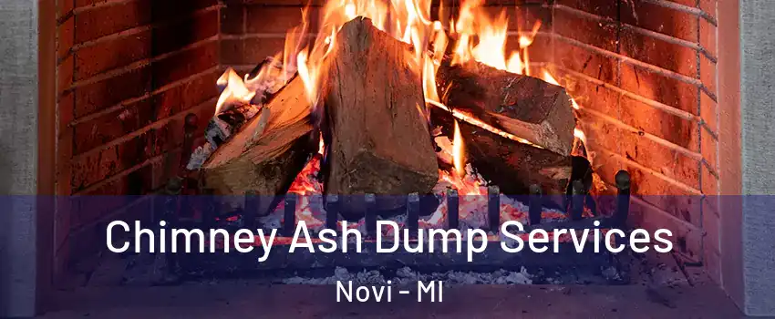  Chimney Ash Dump Services Novi - MI