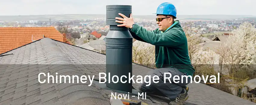  Chimney Blockage Removal Novi - MI