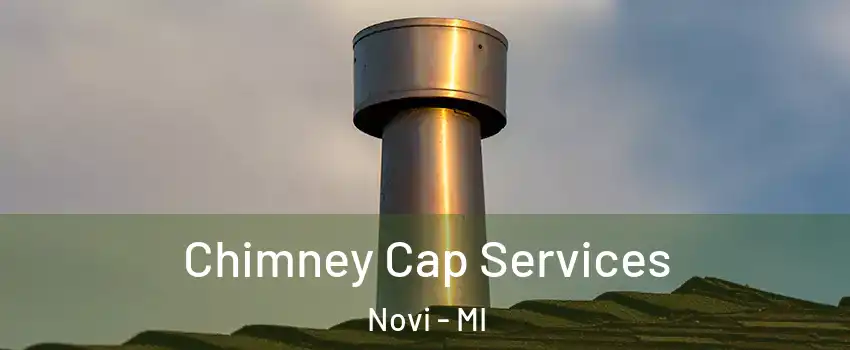  Chimney Cap Services Novi - MI