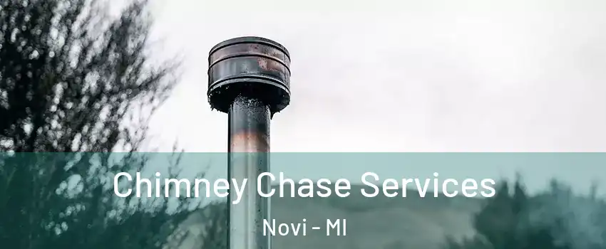  Chimney Chase Services Novi - MI