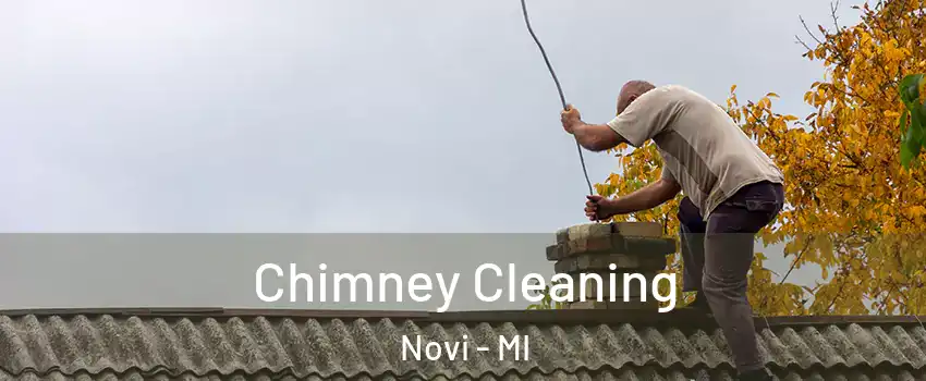  Chimney Cleaning Novi - MI