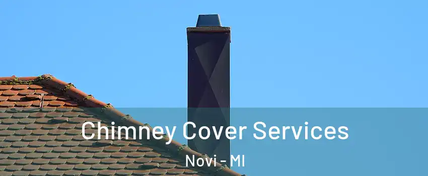  Chimney Cover Services Novi - MI