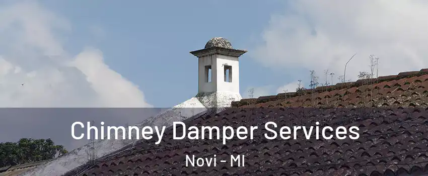  Chimney Damper Services Novi - MI