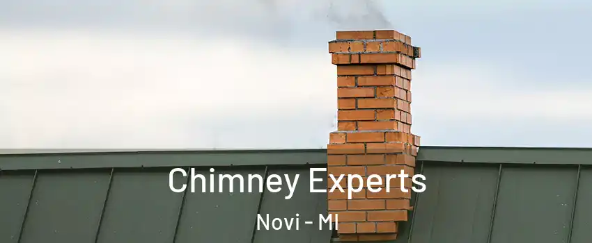 Chimney Experts Novi - MI