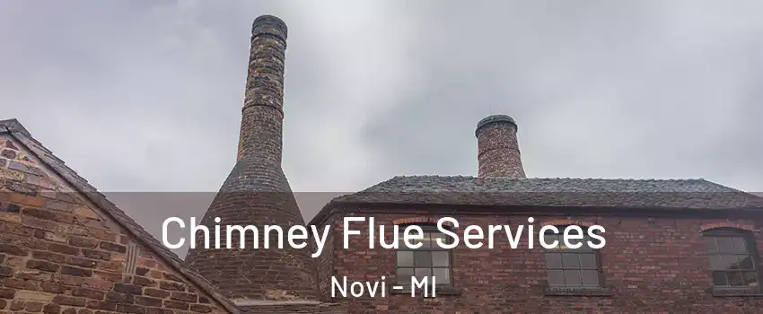  Chimney Flue Services Novi - MI