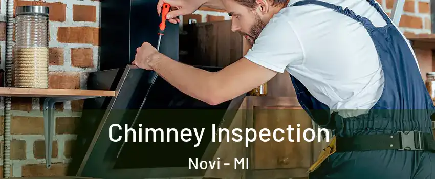  Chimney Inspection Novi - MI