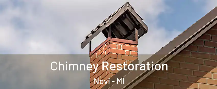  Chimney Restoration Novi - MI
