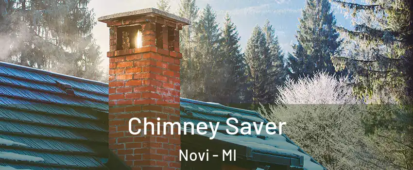  Chimney Saver Novi - MI