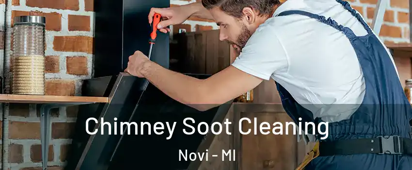  Chimney Soot Cleaning Novi - MI