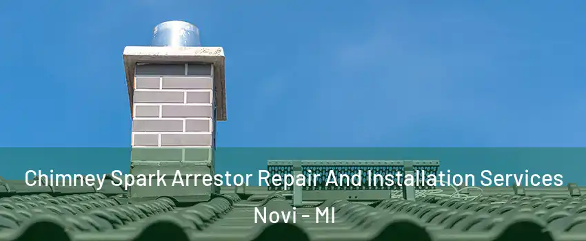 Chimney Spark Arrestor Repair And Installation Services Novi - MI