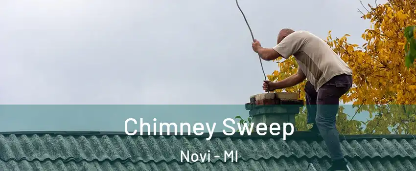  Chimney Sweep Novi - MI