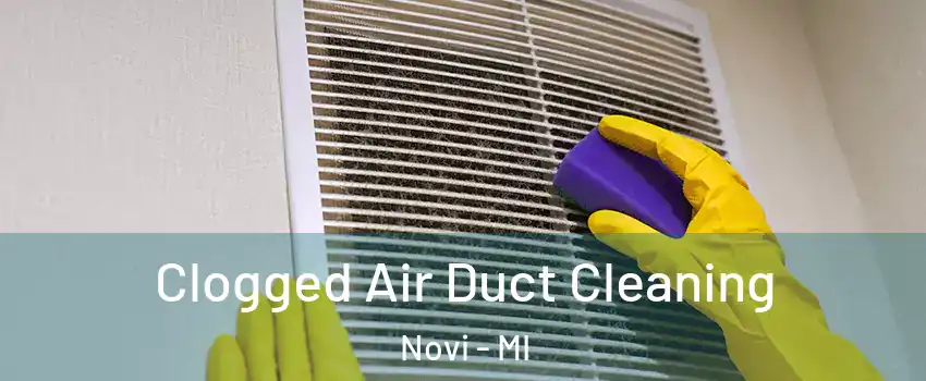  Clogged Air Duct Cleaning Novi - MI