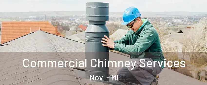  Commercial Chimney Services Novi - MI