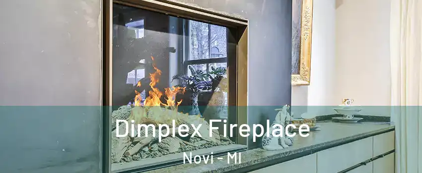  Dimplex Fireplace Novi - MI
