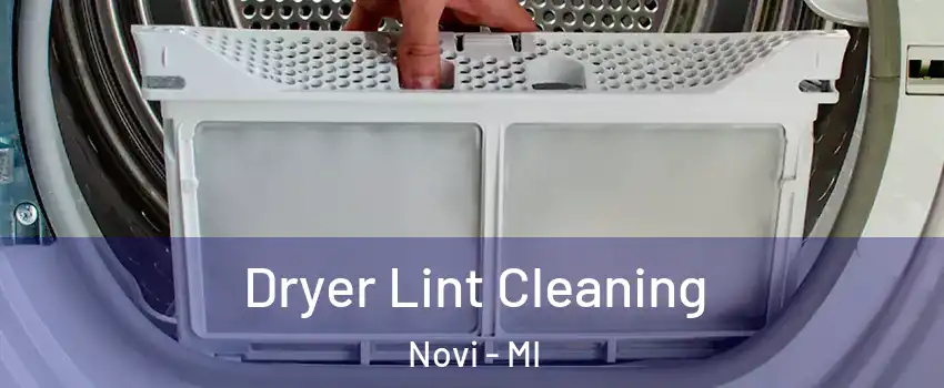  Dryer Lint Cleaning Novi - MI