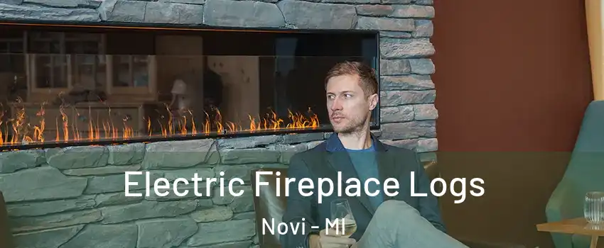  Electric Fireplace Logs Novi - MI