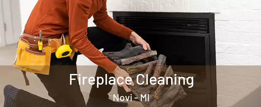  Fireplace Cleaning Novi - MI