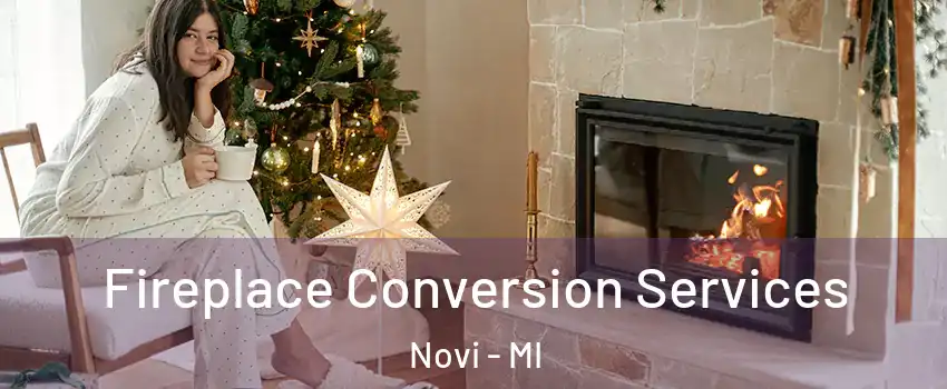  Fireplace Conversion Services Novi - MI