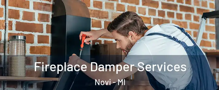  Fireplace Damper Services Novi - MI