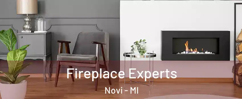  Fireplace Experts Novi - MI