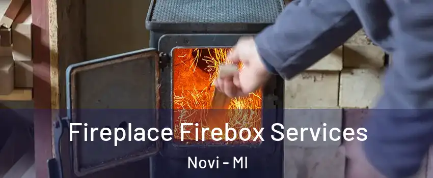  Fireplace Firebox Services Novi - MI