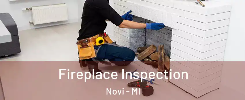  Fireplace Inspection Novi - MI