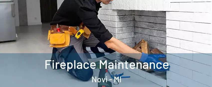  Fireplace Maintenance Novi - MI