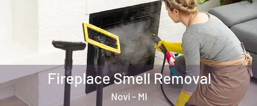  Fireplace Smell Removal Novi - MI