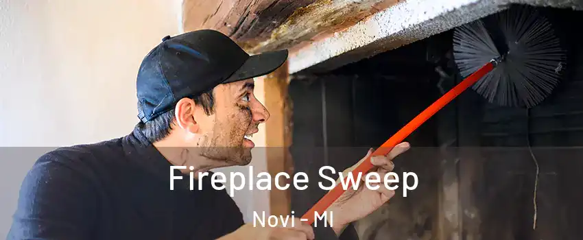  Fireplace Sweep Novi - MI