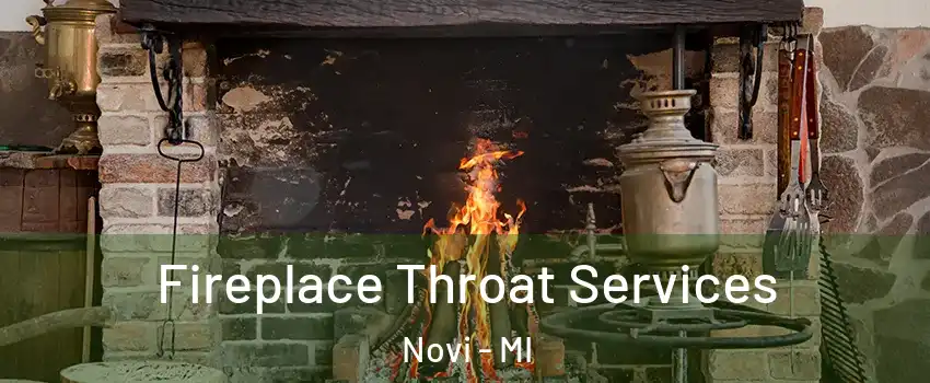  Fireplace Throat Services Novi - MI