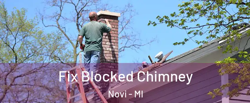 Fix Blocked Chimney Novi - MI