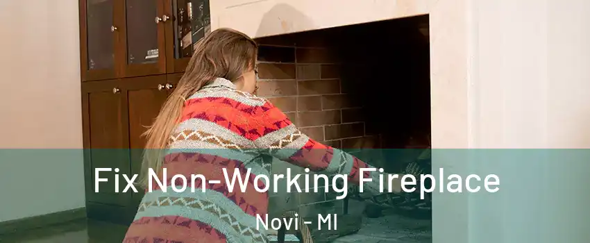  Fix Non-Working Fireplace Novi - MI