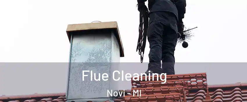  Flue Cleaning Novi - MI