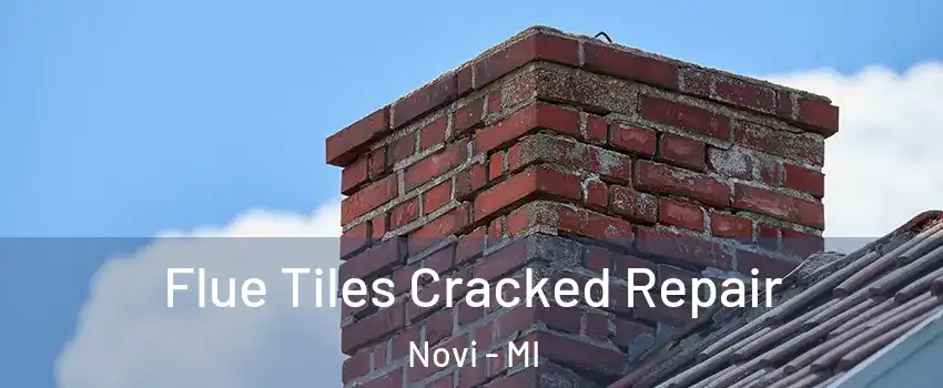 Flue Tiles Cracked Repair Novi - MI