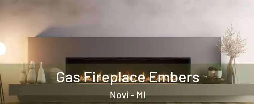  Gas Fireplace Embers Novi - MI