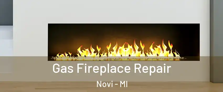  Gas Fireplace Repair Novi - MI
