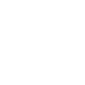 Professional Chimney Flue Installation in Novi, Michigan