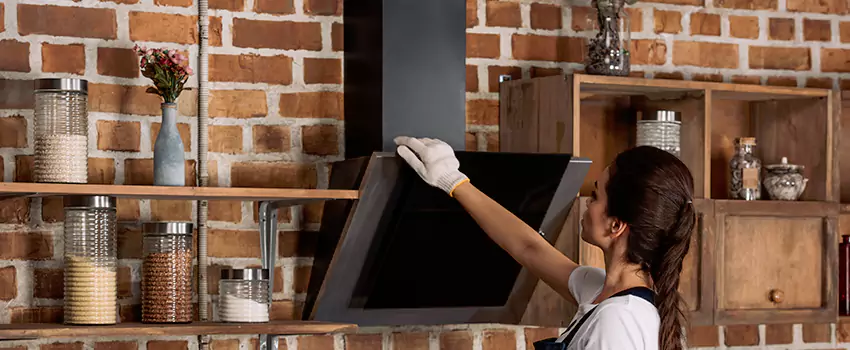 Chimney Installation in Novi, MI