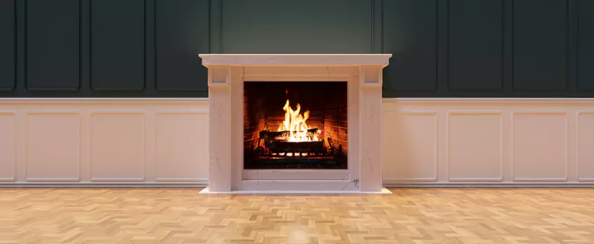 Napoleon Electric Fireplaces Inspection Service in Novi, Michigan