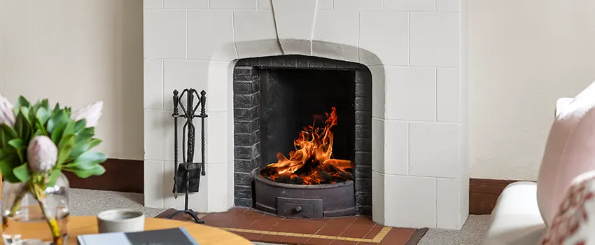 Valor Fireplaces and Stove Repair in Novi, MI