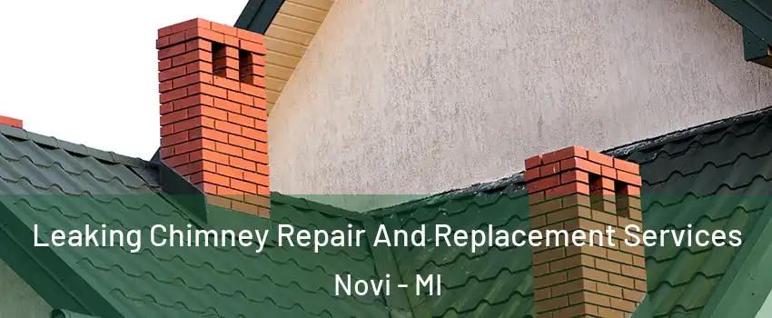 Leaking Chimney Repair And Replacement Services Novi - MI