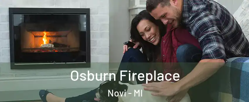  Osburn Fireplace Novi - MI