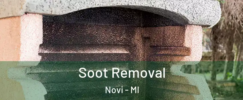 Soot Removal Novi - MI
