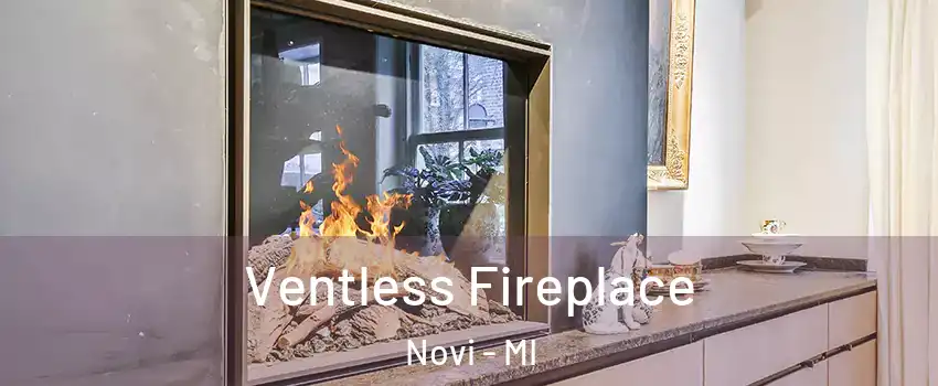  Ventless Fireplace Novi - MI